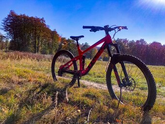 Trek Remedy 9 Race Shop Limited - 4