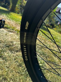 CTM Pop CrMo 20” - 4