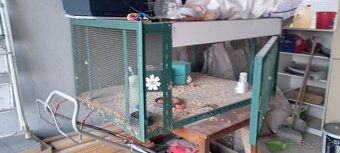 Klietka, voliera - 4