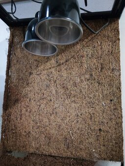 Terarium 60x45x45 - 4