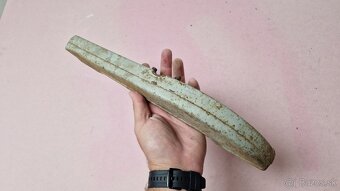 Kryt retaze Jawa 05 Pionier 1962-1964 - 4