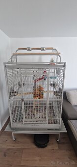 Predam klietku pre papagaja + moznost kupit aj s papagajom - 4
