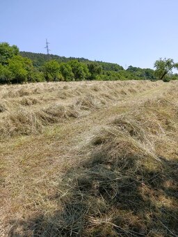 Balikované seno - 4