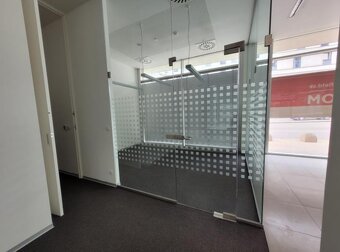 Obchodné priestory v tesnej blízkosti Prezidentského paláca, - 4