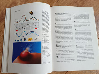 Encyklopedie pohlavniho zivota - 4