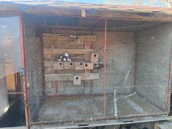 Vonkajšia voliera pre vtáctvo - 4