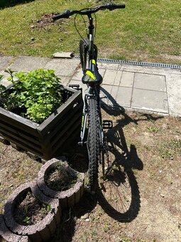 Bicykel CTM WILLY 1.0 - 4