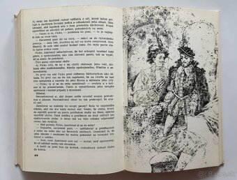 HISTORICKÉ ROMÁNY (História na našom území) - 4