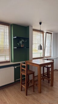 1-izb. byt ul. Fibichova, centrum, v blízkosti Auparku - 4