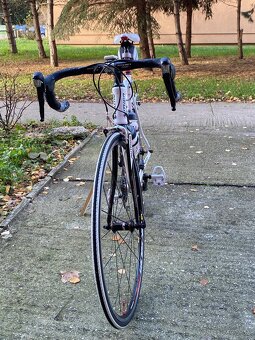 Author  A 5500 - veľkosť M - 4