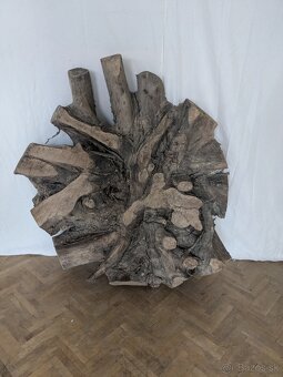 Vysušené orechové korenice - 4