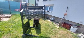 Preosievač zeminy a sypkých materiálov. - 4