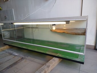 Terarium - 4