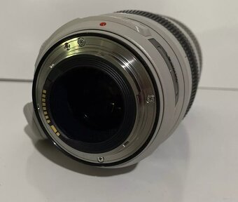 Canon 100-400mm f/4.5-5.6 L IS USM II - 4