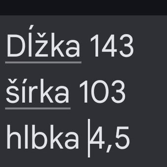 Obraz Lev - 4