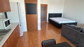 Na prenájom klimatizovaný 1 izbový byt s balkónom - 4