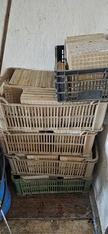 Dlažba / obklad - 4