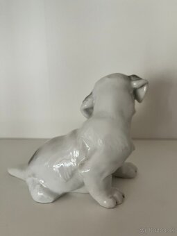 Porcelanovy pes terier stena Rosenthal - 4