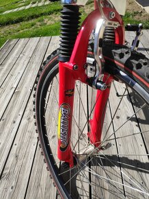Dámsky horský bicykel  DEMA - RAVEO - 4
