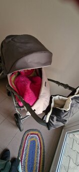 Kočiķ sivoružový - 4