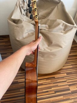 Gitara - 4