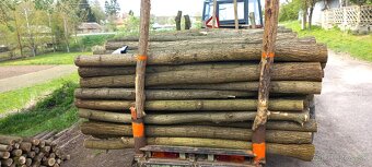 Predam agatove koly stlpy zrde - 4