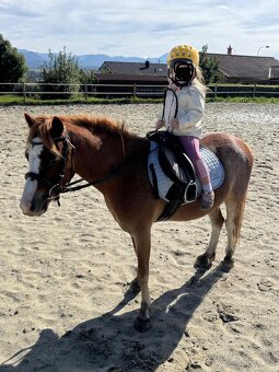 Ponik ideálny pre deti - 4