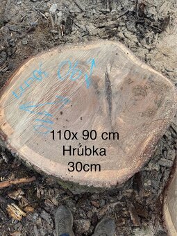 Dubové koláče na konferenčné stoly - 4