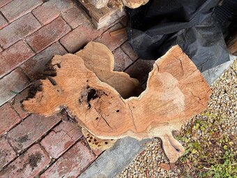 Drevo čerešňa koláče - 4