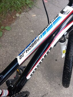 Detský bicykel 20 - 4