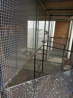 Predám volieru pre vtáky - 4