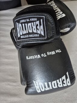 Boxerské rukavice - 4