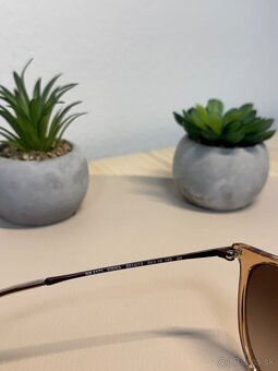 Ray Ban Erika - 4