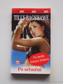 Detektívky -Gabaldon,Crais,Hooper, Cornwell,Howard a iný - 4