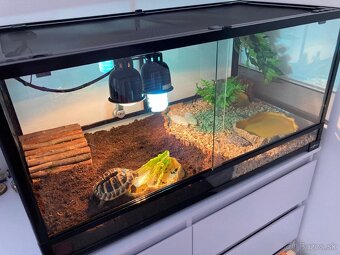 Terárium Repti Planet 92cmx46cmx46cm - 4