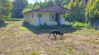 NOVÁ CENA...Rekreačný pozemok 1365m2 s chatkou so súpisným č - 4