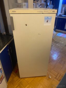 Predam starší mrazak - 4