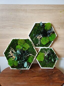 Machový obraz hexagón na mieru - 4