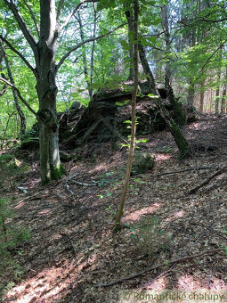 Exkluzívne: 4,2ha pozemok na polosamote - 4