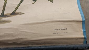 Staré školské tabule. - 4