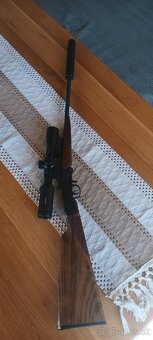 22wmr - 4