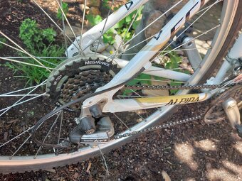 Bicykel Alpina Eco C10 - 4