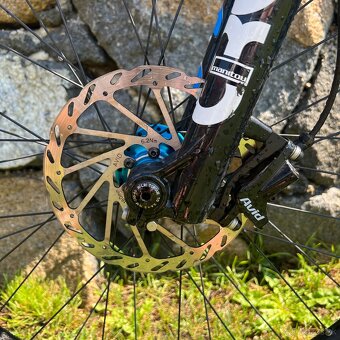 Whip 50 – Dirt Series Geometry - 4