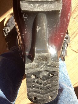 Lyžiarky Dalbello - 4