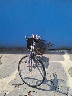 Dámsky bicykel Olpran - 4