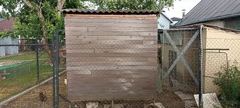 Zajačnik králikareň - 4