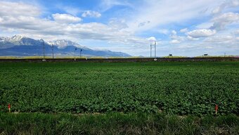 INVESTIČNÝ POZEMOK, POPRAD VEĽKÁ - 4