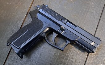 SIG SAUER SP 2022,P228 - 4