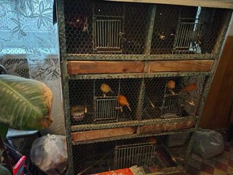 KLIETKY+BOXI-ZDARMA - 4