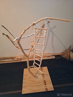 Strom pre papagáje - 4